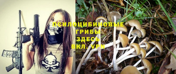 амф Краснотурьинск